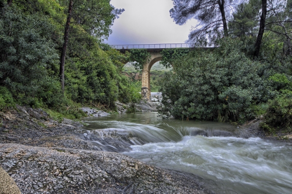 29AFO VICENTE MUÑOZ